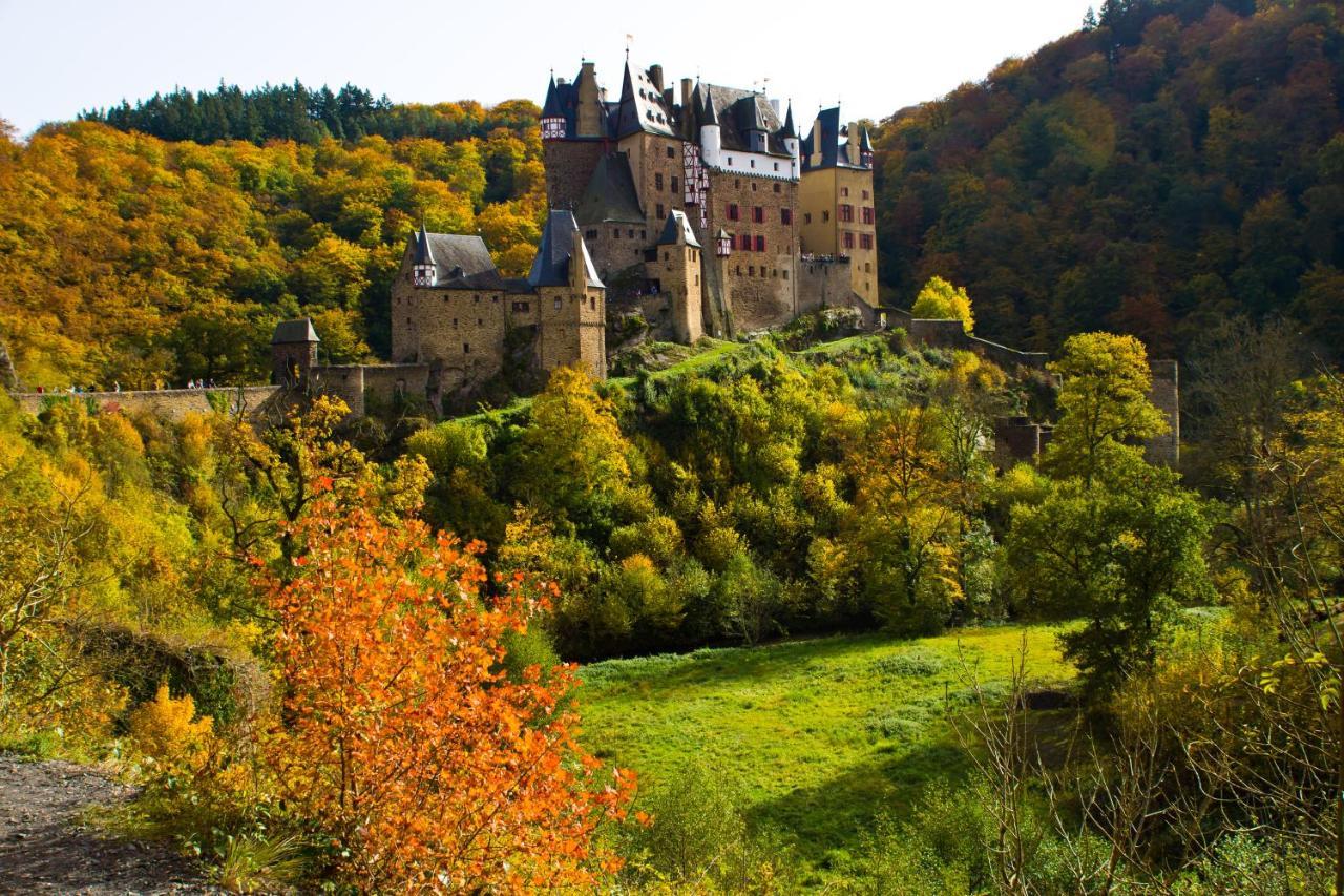 Tiny House Natur-Traum Zur Burg Eltz Wierschem Exterior foto